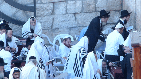 By Benjamín Núñez González, Shucking Scene (Jerusalem) — CC BY-SA 4.0