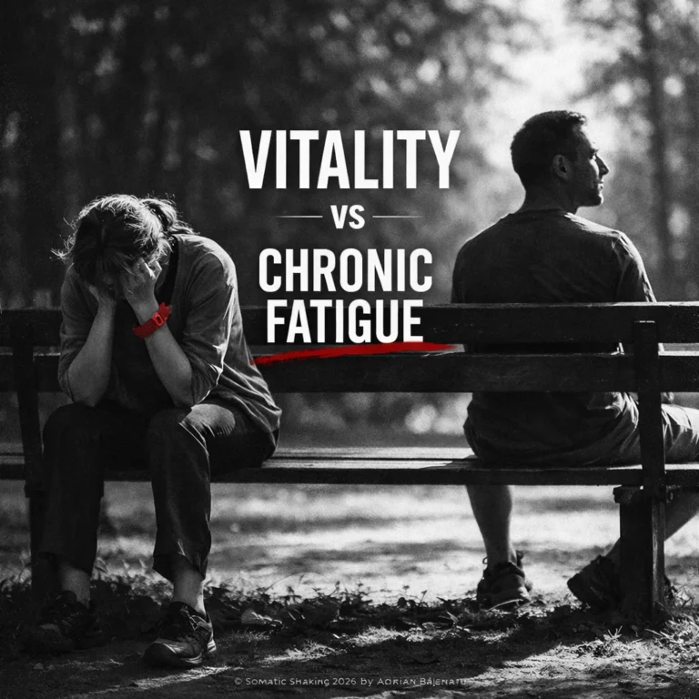 WHAT CAUSES CHRONIC FATIGUE.webp