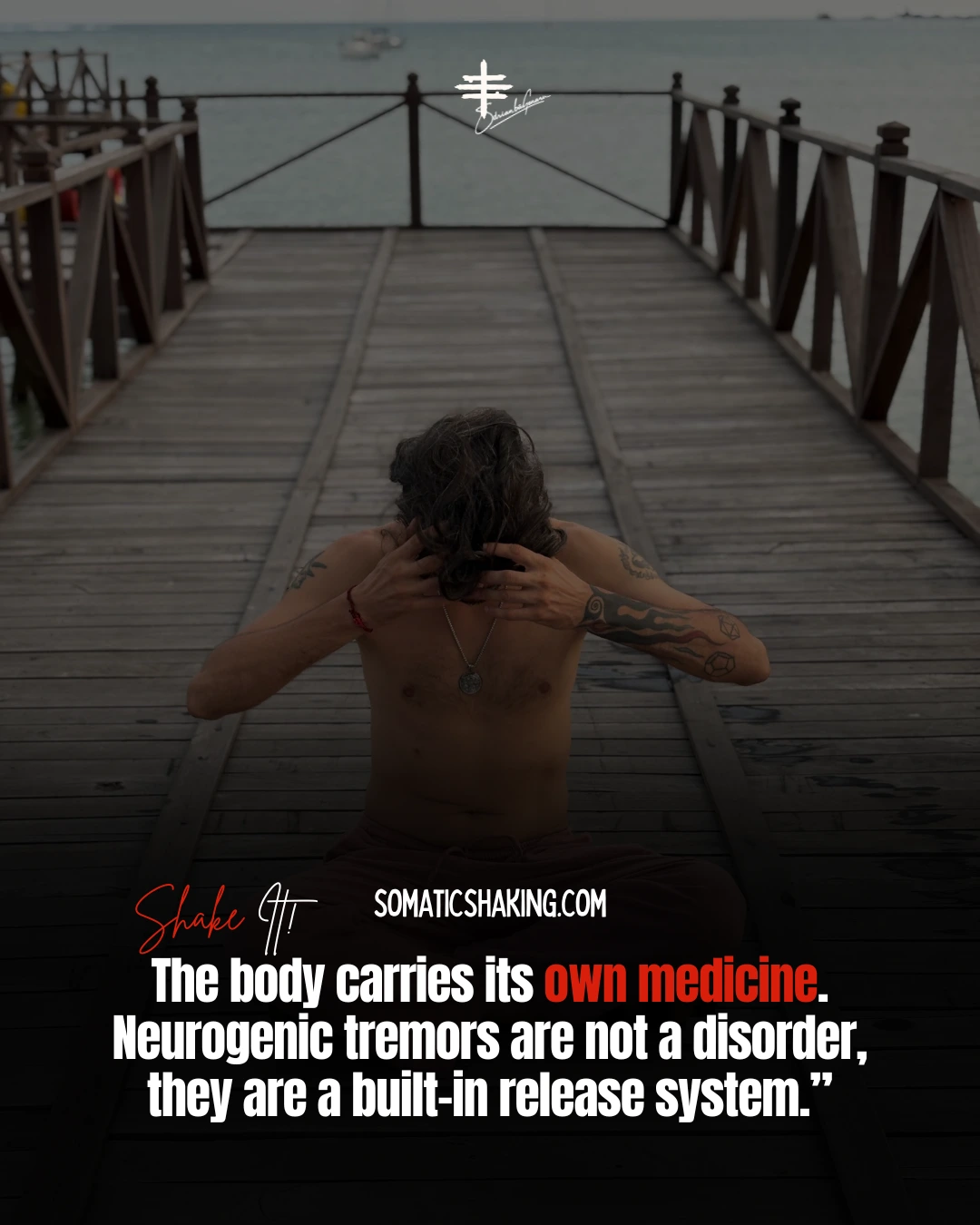 Somatic Shaking Quote