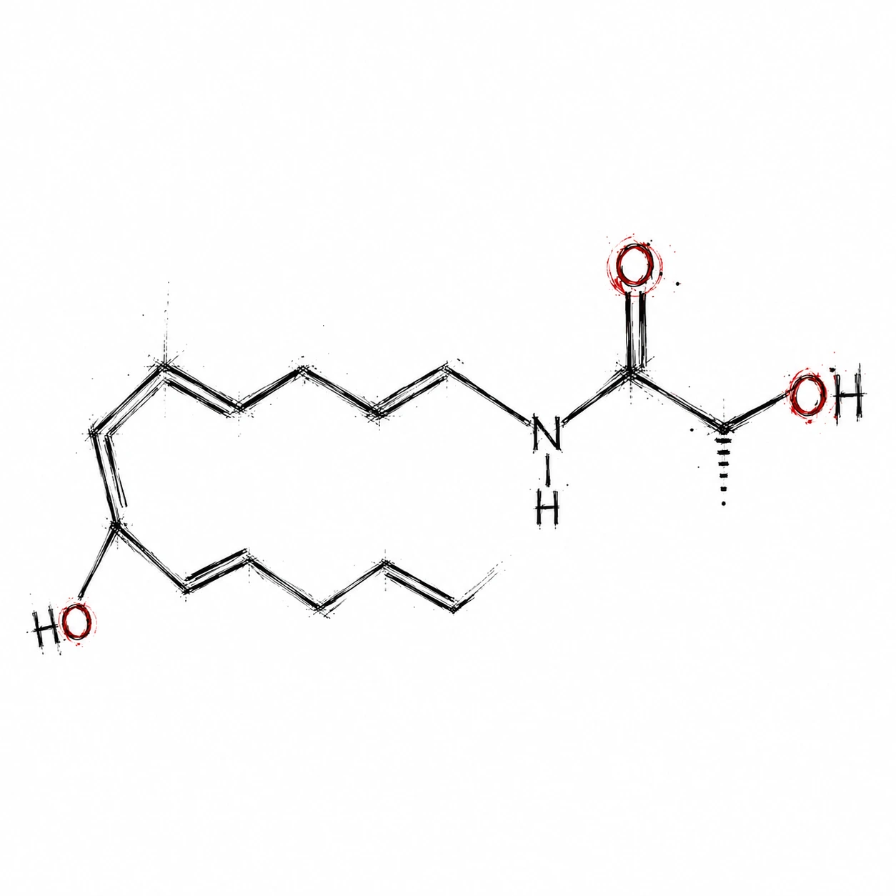 ANA Anandamide