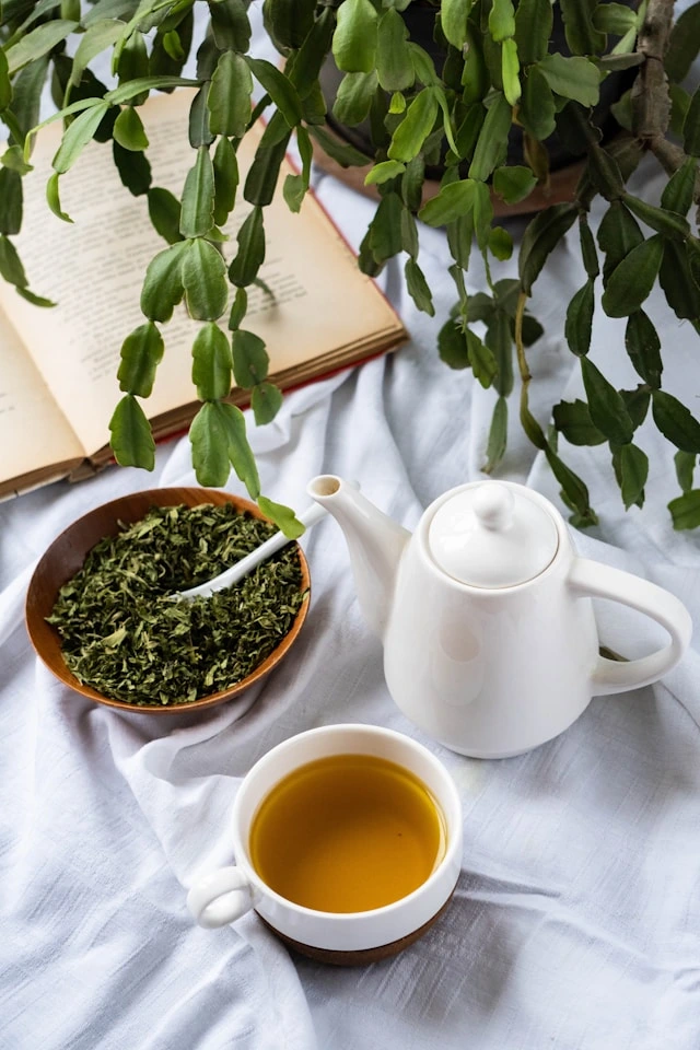 The Hidden Power of a Simple Leaf: What Does Moringa Offer the Body?